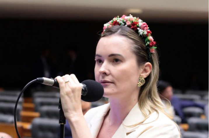 É Falso que a deputada Julia Zanatta tenha deixado de trabalhar 292 dias em 2025