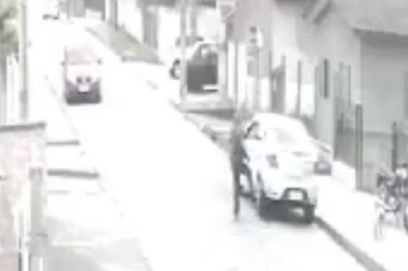 Homem mata cachorro com chute na cabeça; crime aconteceu no bairro Vila Francesa