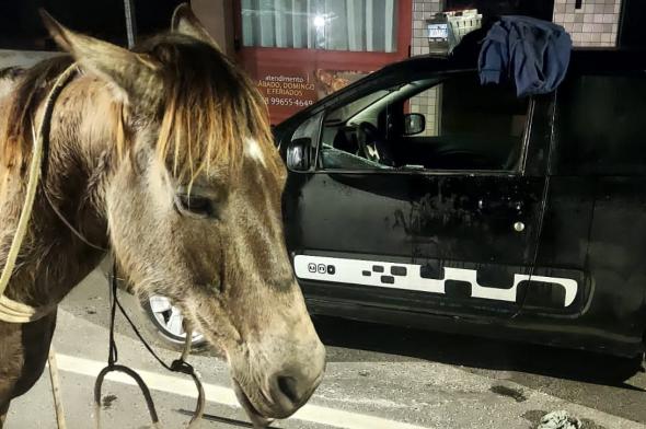 Bandido a cavalo arromba veículo e furta objetos na Próspera